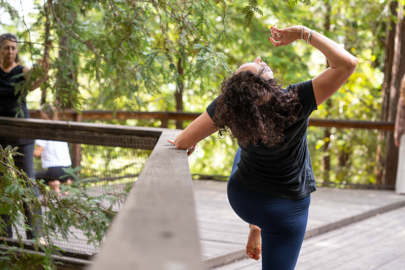 ONLINE Masterclass series with Joy Cosculluela - Embodied Creativity for All: Explore, Connect, and Renew