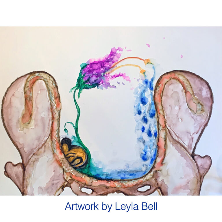 Online Series: Wild Wise Bones with Marialuisa Diaz de Leon